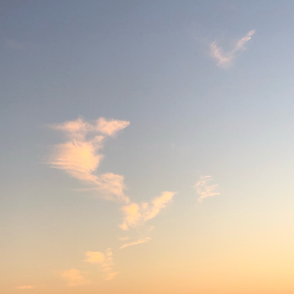 Meet your Posher, Kerin